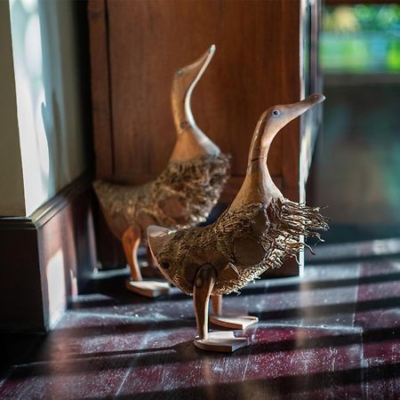 Villa Alamanda Убуд Экстерьер фото